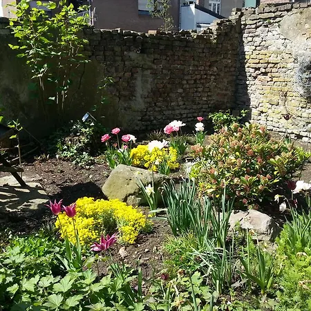 Alte Baronie