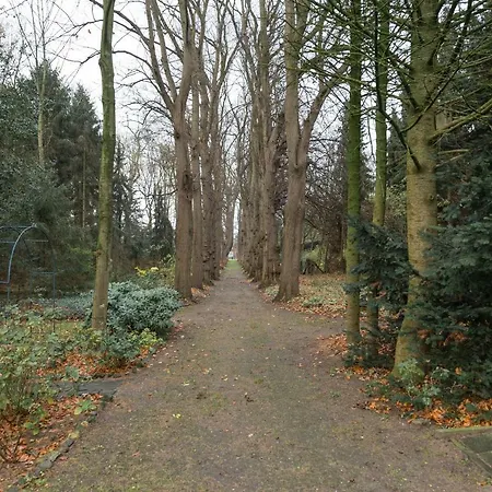 Alte Baronie * Elten